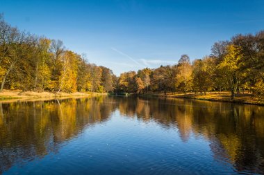 Bir su birikintisi sonbahar renkleri ile Park