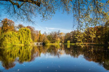 Bir su birikintisi sonbahar renkleri ile Park