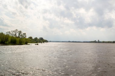 Polonya Vistula Nehri'nin vahşi banka.
