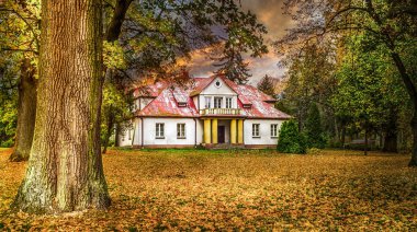Historic palace surrounded by autumn park, central Poland.