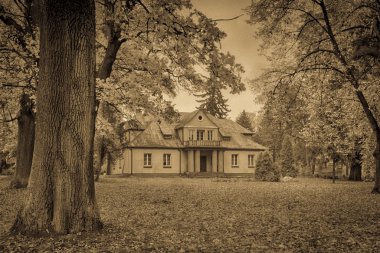 Historic palace surrounded by autumn park, central Poland.