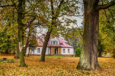 Historic palace surrounded by autumn park, central Poland.