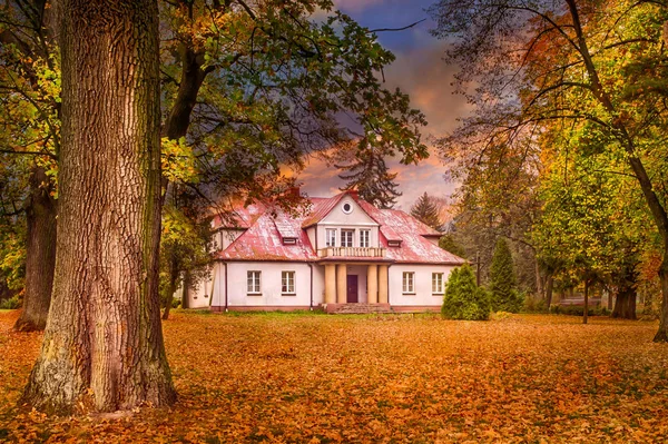 Historický Palác Obklopený Podzimním Parkem Střední Polsko — Stock fotografie