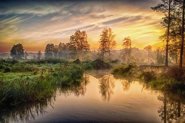 Маленька Річка Центральній Польщі Освітлена Сонцем — стокове фото