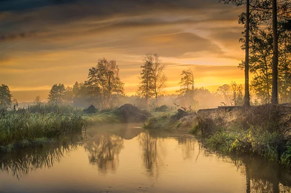 Petite Rivière Dans Centre Pologne Éclairée Par Soleil — Photo