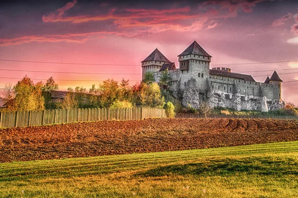 Storico Castello Nel Sud Della Polonia — Foto Stock