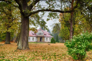 Historic palace surrounded by autumn park, central Poland.