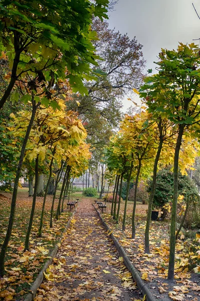 Palacio Histórico Rodeado Parque Otoño Centro Polonia — Foto de Stock