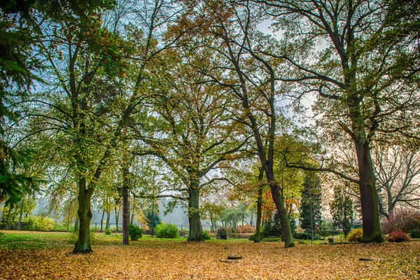 Historický Palác Obklopený Podzimním Parkem Střední Polsko — Stock fotografie