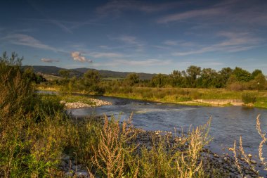Polonya 'nın Nowy Targ kentindeki Czarny Dunajec Nehri - 2019 yazı