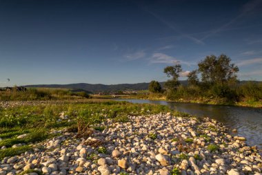 Polonya 'nın Nowy Targ kentindeki Czarny Dunajec Nehri - 2019 yazı