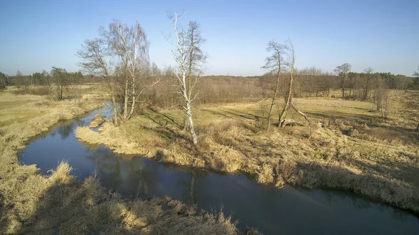 Paysage Drone Montrant Rivière Grabia Pologne 2020 — Photo