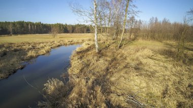 Grabia Nehri, Polonya 2020 'yi gösteren bir insansız hava aracının manzarası..