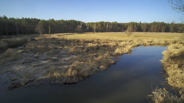 Paysage Drone Montrant Rivière Grabia Pologne 2020 — Photo