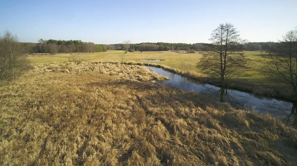 Paysage Drone Montrant Rivière Grabia Pologne 2020 — Photo