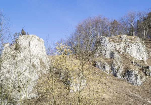 Rocks Castle Ojcow National Park Poland 2020 — Stock Photo, Image