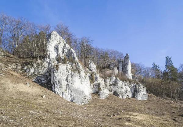 Rocks Castle Ojcow National Park Poland 2020 — Stock Photo, Image