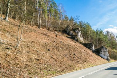 Ojcow Ulusal Parkı Kayaları ve Kalesi, Polonya 2020