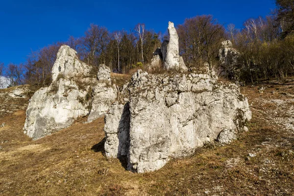 Rocks Castle Ojcow National Park Poland 2020 — Stock Photo, Image