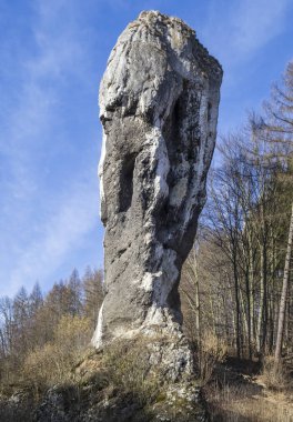 Ojcow Ulusal Parkı Kayaları ve Kalesi, Polonya 2020