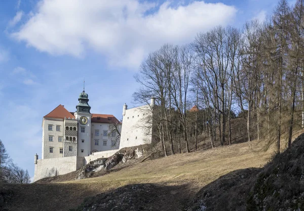 Rocks Castle Ojkov National Park Poland 2020 — стокове фото