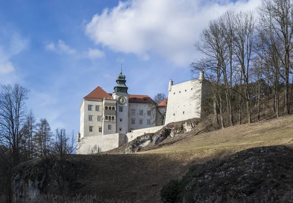 Rocks Castle Ojcow National Park Πολωνία 2020 — Φωτογραφία Αρχείου