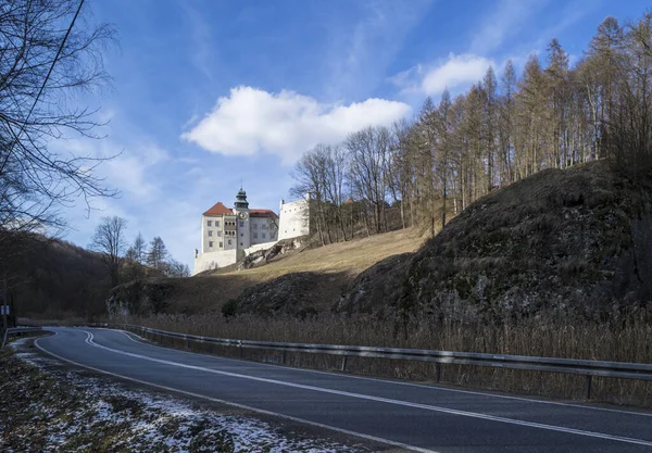 Skały Zamek Ojcowskiego Parku Narodowego Polska 2020 — Zdjęcie stockowe