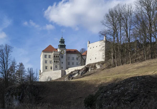Rocks Castle Ojcow National Park Πολωνία 2020 — Φωτογραφία Αρχείου