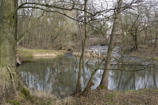 Petite Rivière Dans Centre Pologne Éclairée Par Soleil — Photo