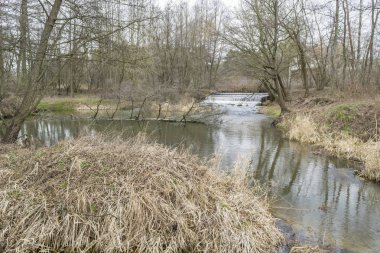 Orta Polonya 'da küçük, vahşi bir nehir..