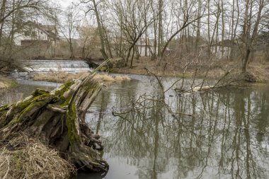 Orta Polonya 'da küçük, vahşi bir nehir..