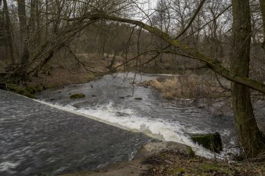 Orta Polonya 'da küçük, vahşi bir nehir..