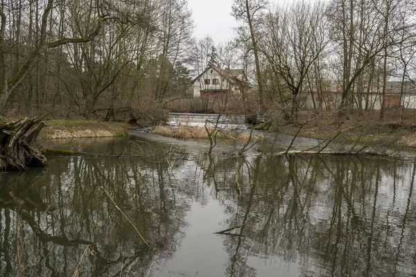 Malá Divoká Řeka Středním Polsku — Stock fotografie