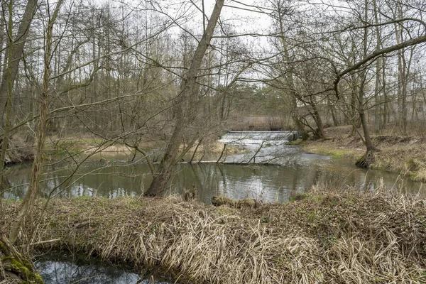 Pequeño Río Salvaje Centro Polonia — Foto de Stock