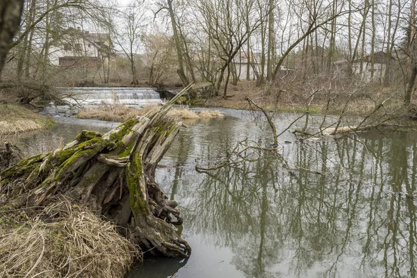 Une Petite Rivière Sauvage Dans Centre Pologne — Photo