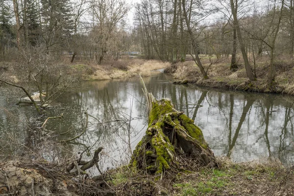 Pequeño Río Salvaje Centro Polonia — Foto de Stock