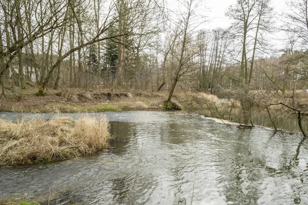 Une Petite Rivière Sauvage Dans Centre Pologne — Photo