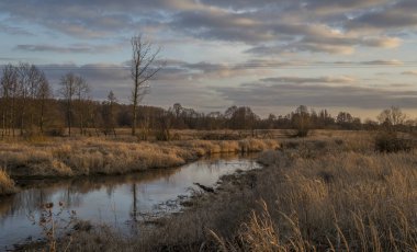 Orta Polonya 'da küçük, vahşi bir nehir..