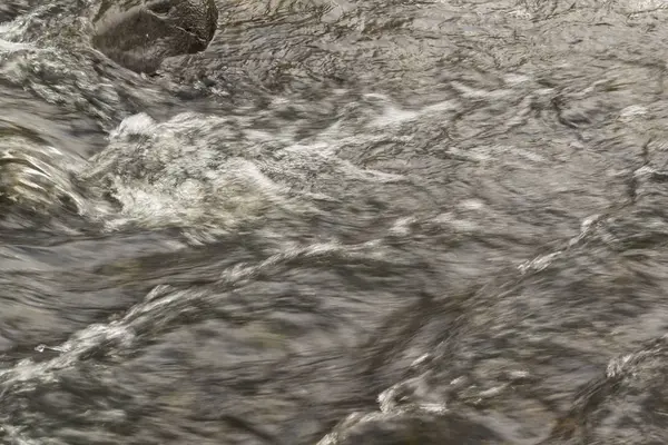 Eau Floue Coulant Rapidement Dans Une Rivière Sauvage — Photo