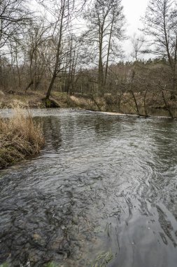Orta Polonya 'da küçük, vahşi bir nehir..