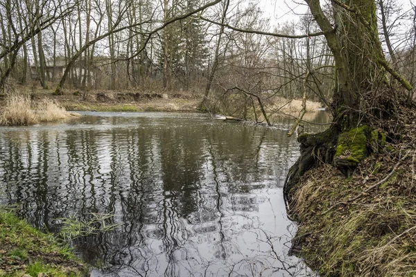 Pequeno Rio Selvagem Centro Polónia — Fotografia de Stock