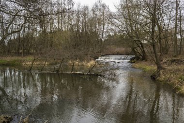 Orta Polonya 'da küçük, vahşi bir nehir..