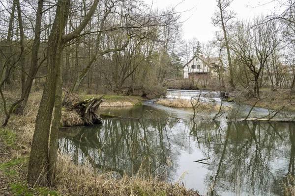 Une Petite Rivière Sauvage Dans Centre Pologne — Photo