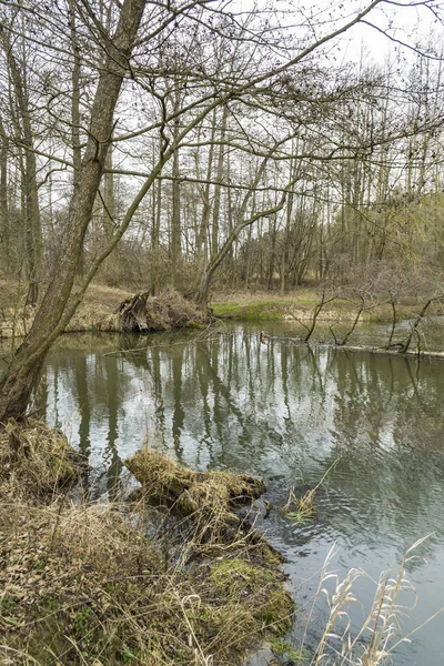 Pequeño Río Salvaje Centro Polonia — Foto de Stock