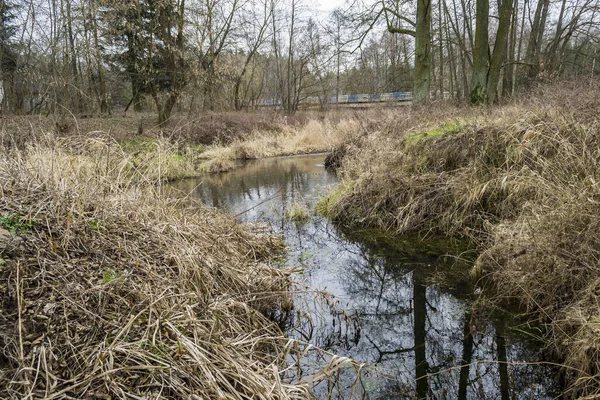 Pequeño Río Salvaje Centro Polonia — Foto de Stock