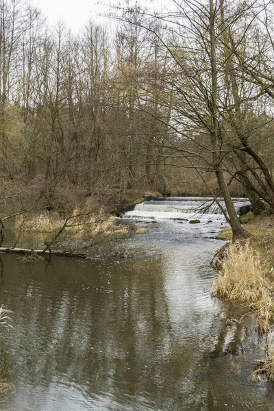 Malá Divoká Řeka Středním Polsku — Stock fotografie