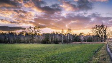 Arka planda tarlalar ve çayırlar ile kırsal peyzaj.