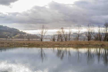 Roznowskie Gölü Polonya 'nın güneyinde yer almaktadır..