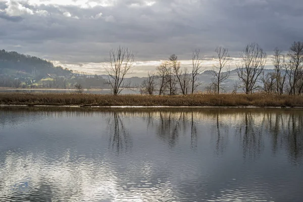 Roznowskie Gölü Polonya 'nın güneyinde yer almaktadır..