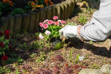 Baharda çiçek ekiyorum..